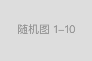 一世勤劳传佳风,万里云空龙飞翔猜打一准确生肖，诠释成语落实作答